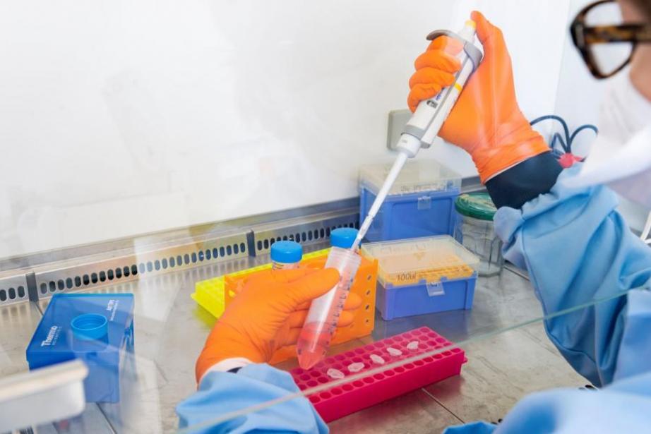 crédit : C. Fresillon-Sys2Diag-CNRS. crédit : C. Fresillon-Sys2Diag-CNRS.