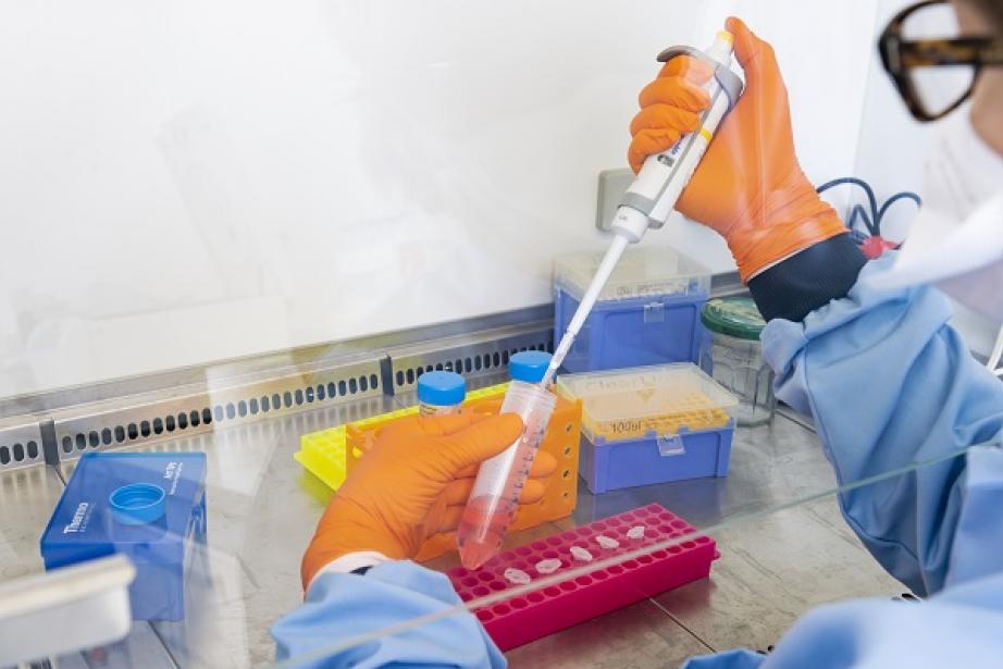 crédit : C. Fresillon-sys2diag-CNRS crédit : C. Fresillon-sys2diag-CNRS