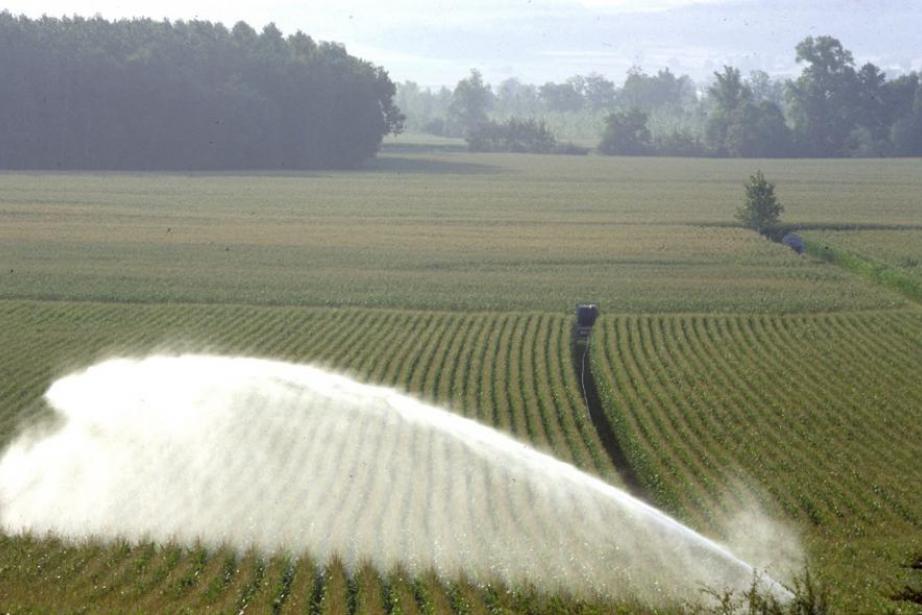 L'agriculture de précision dans l'irrigation L'agriculture de précision dans l'irrigation