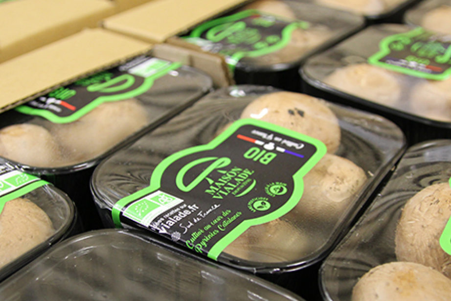Maison Vialade, un acteur important du champignon en France depuis 25 ans Maison Vialade, un acteur important du champignon en France depuis 25 ans