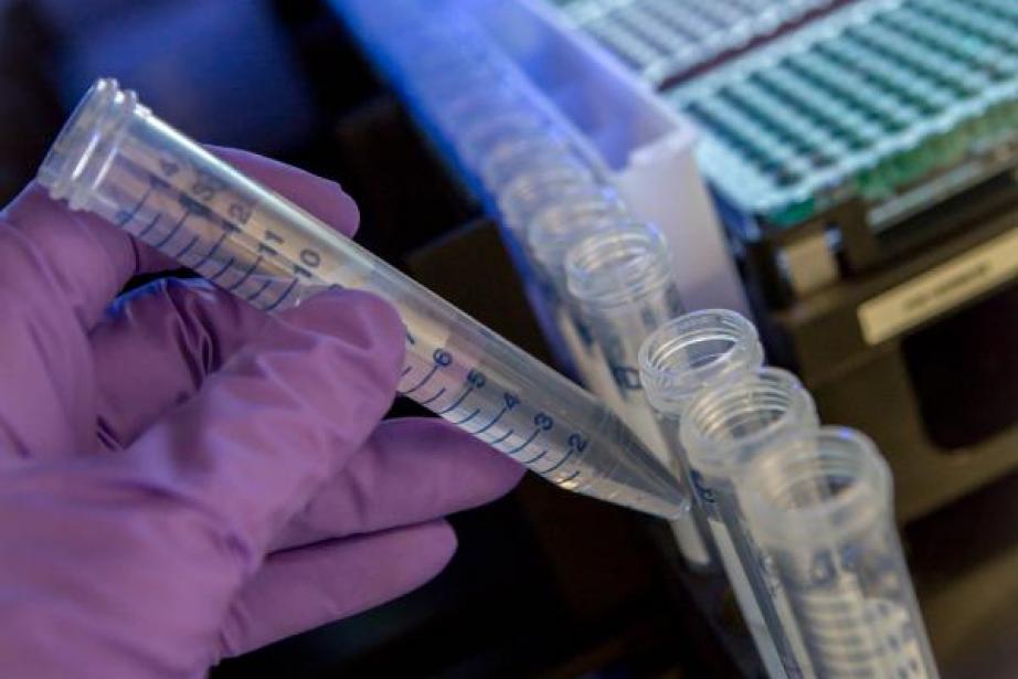 L'Insa deviendra le plus gros centre de R & D en biotechnologies industrielles en Europe L'Insa deviendra le plus gros centre de R & D en biotechnologies industrielles en Europe