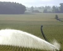 L'agriculture de précision, un axe majeur d'innovation